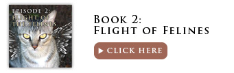 Zoulvisia Book 2
