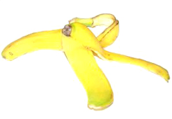 staff